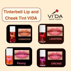TINTERBELL LIP and CHEEK TINT VIDA 4 color shades | beauty and above post show the 4 colors of TINTERBELL LIP and CHEEK TINT VIDA 4 color shades
