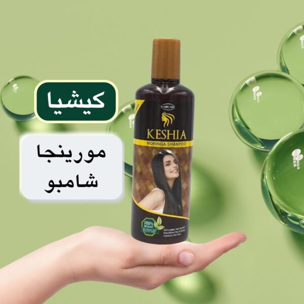 شامبو كيشييا المورينجا